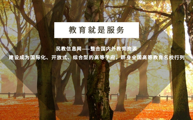 手机banner三